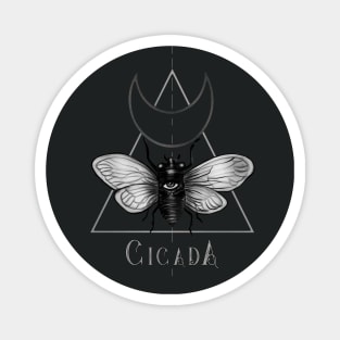 Cicada Magnet